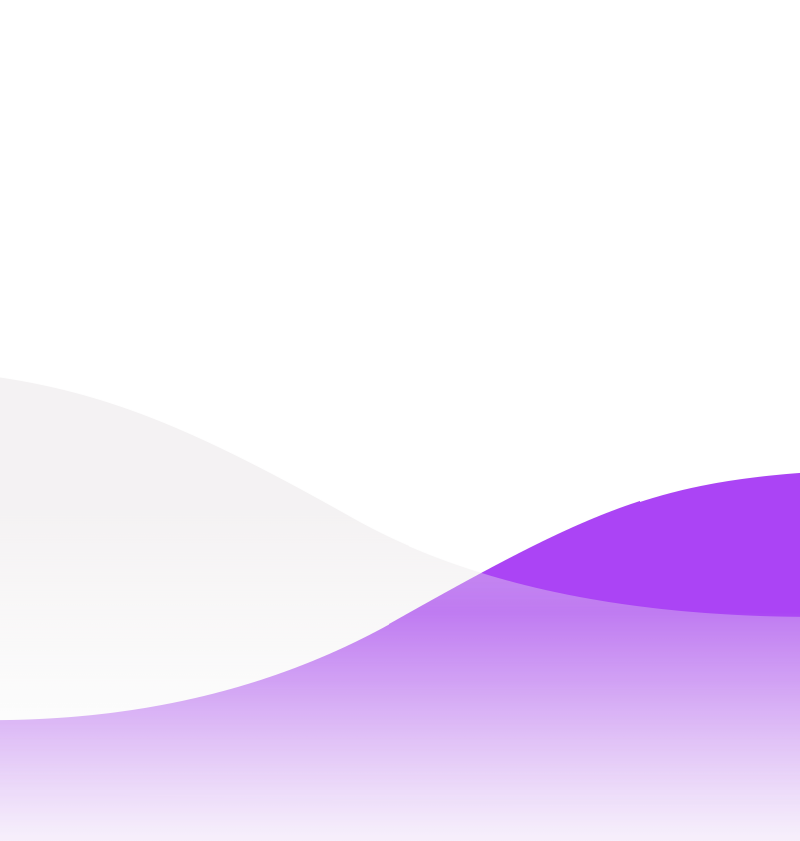 The H-1B Visa: Policy Brief